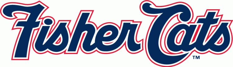 New Hampshire Fisher Cats 2008-2010 wordmark logo v2 iron on transfers for T-shirts